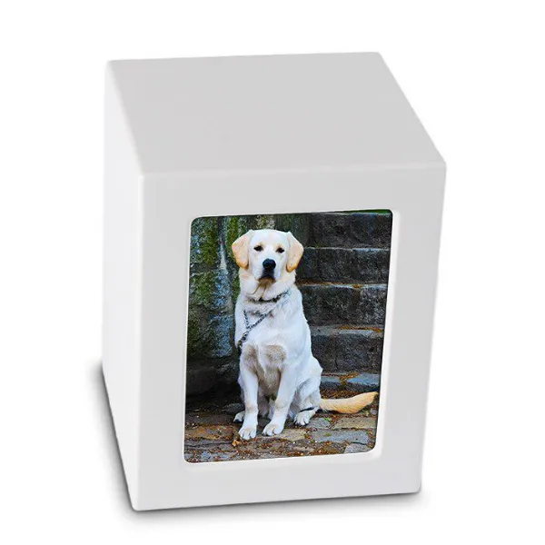 Dieren Urn Hond Kat Middel 800 ml Wit Zilverkleurig Pootjes | Urn Store