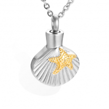 ashanger Schelp met ster in goudkleur
