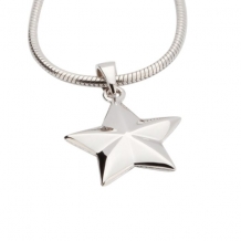 ashanger Ster in zilver