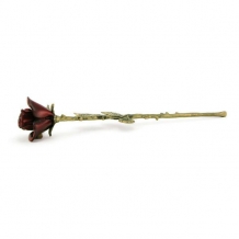 Terrybear asroos Crimson met rode bloemknop en een geschenkbox