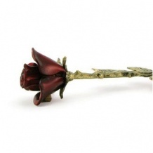 bloemknop Crimson asroos