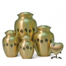 Terrybear dieren-urn Classic Paw