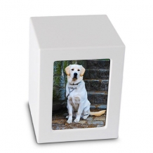 Foto Box dieren urn in Wit MDF 1400ml