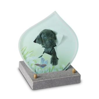 FotoGlas 15x15cm inclusief Tekst + Foto: Hond