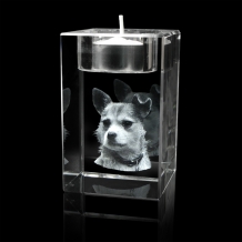FotoGlas waxine met hond
