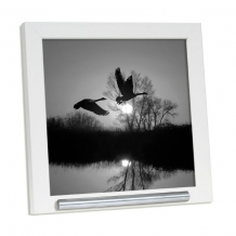 Fotolijst met Wit vierkant kader 20x20cm + rvs asbuisje