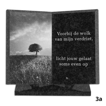 Gedenkmonument Boek 35x35cm: tekst + lasertekening