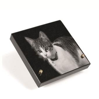 gedenksteen 15x15cm Poes