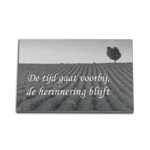gedenkplaat 20x15cm met laserfoto kompleet