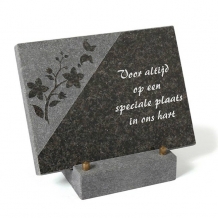 Gedenksteen 20x15cm: Voor altijd op een speciale plaats in ons hart