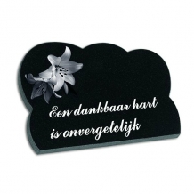 gedenkplaat 18x25cm met lasertekening