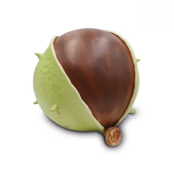 kastanje urn in bladgroen keramiek