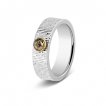 SeeYou 6mm ring zilver met goud