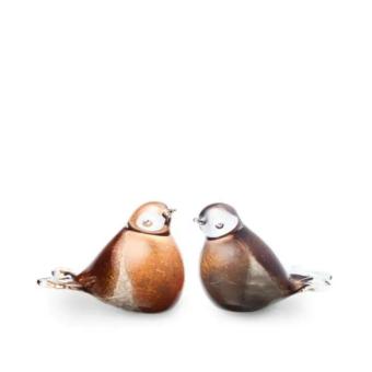 Roodborst urn van glas