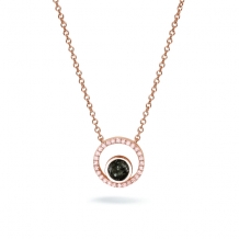 Ashanger Rond met askamer en zirkonia: Rose-Plated