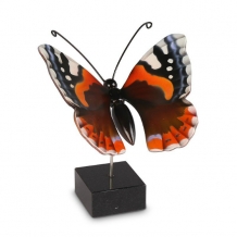 Urn Vlinder Atalanta
