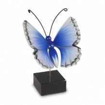 Urn Vlinder Blauwtje