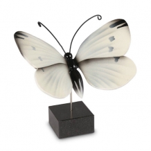 Urn Vlinder Koolwitje