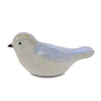 Vogel urn Iris