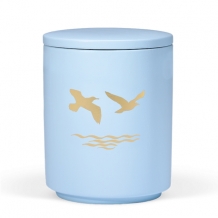 Zee urn Atlantique met zeemeeuwen