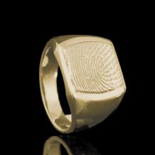 zegelring u037 in 14k geelgoud