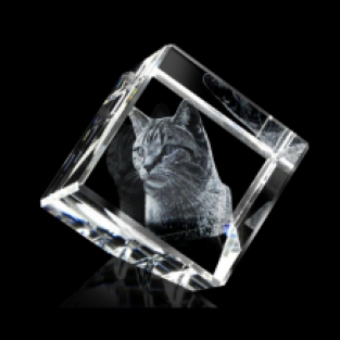 poes in kubus met 3D gravure