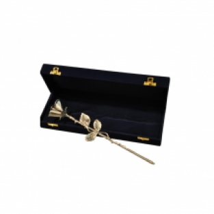 Terrybear asroos Pewter in geschenkbox