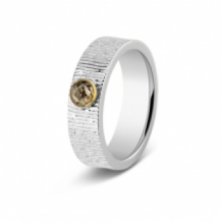 SeeYou 6mm ring zilver met goud