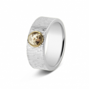 SeeYou 8mm ring zilver met goud