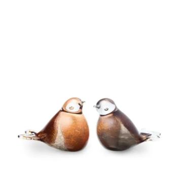 Roodborst urn van glas
