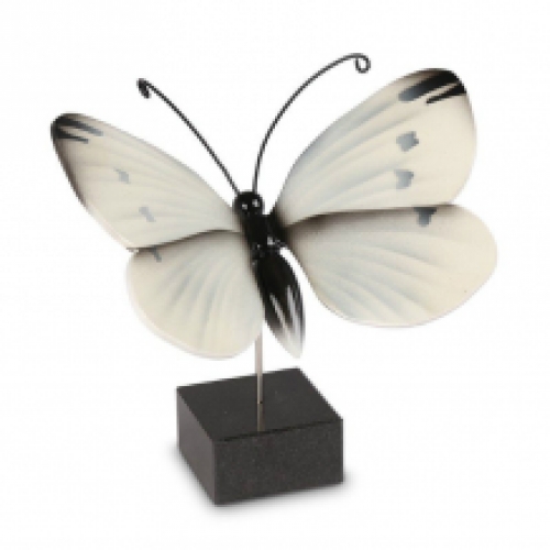 Urn Vlinder Koolwitje