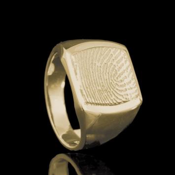 zegelring u037 in 14k geelgoud