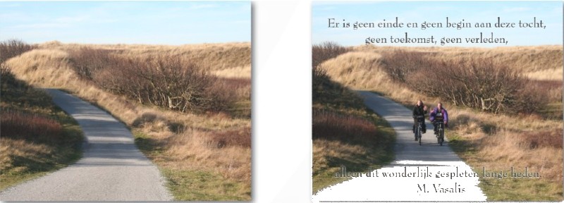 Achtergrond Duinen